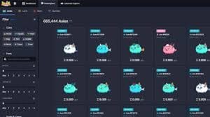 Axie Infinity