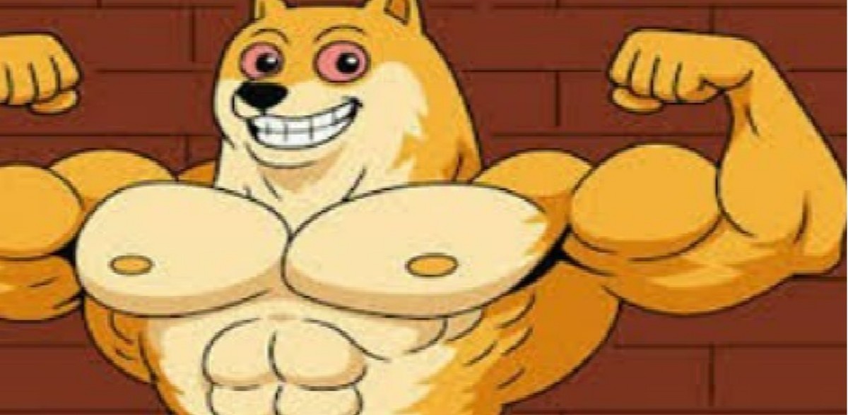 Dogecoin 12. Yılını Kutlarken Maxi Doge Sahneye Çıkıyor Yeni 100x Köpek Bu mu