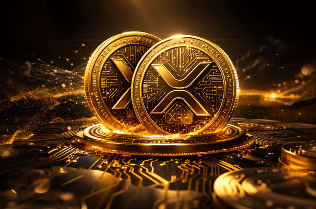 Ripple Beyaz Saray'da