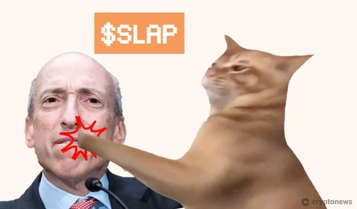猫にパンチされるゲンスラー氏