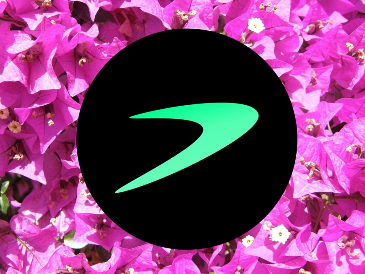 Tellor Koers Stijgt 37% in 24 uur Terwijl Bitcoin BSC $5,7m Ophaalt