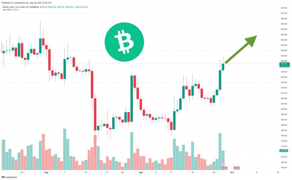 Bitcoin Cash Koers Verwachting 28 september
