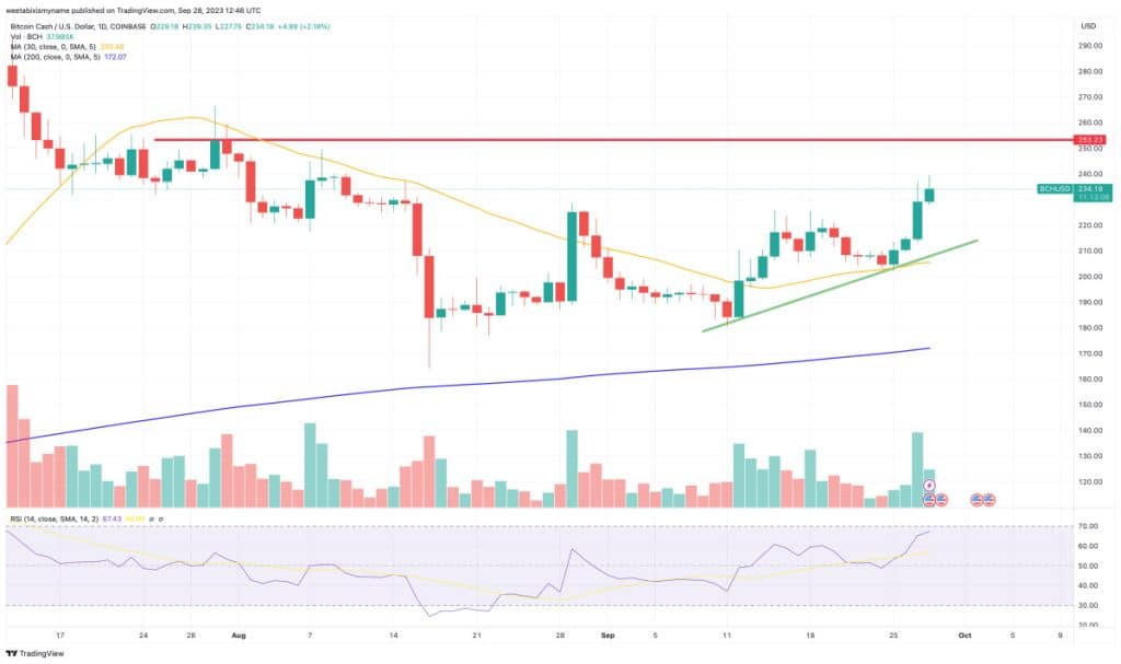 Bitcoin Cash Koers Analyse