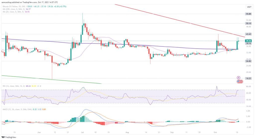 BSV USDT Koersverwachting