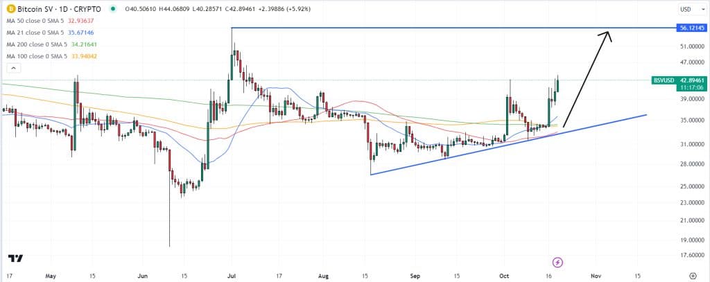 Bitcoin SV koers verwachting