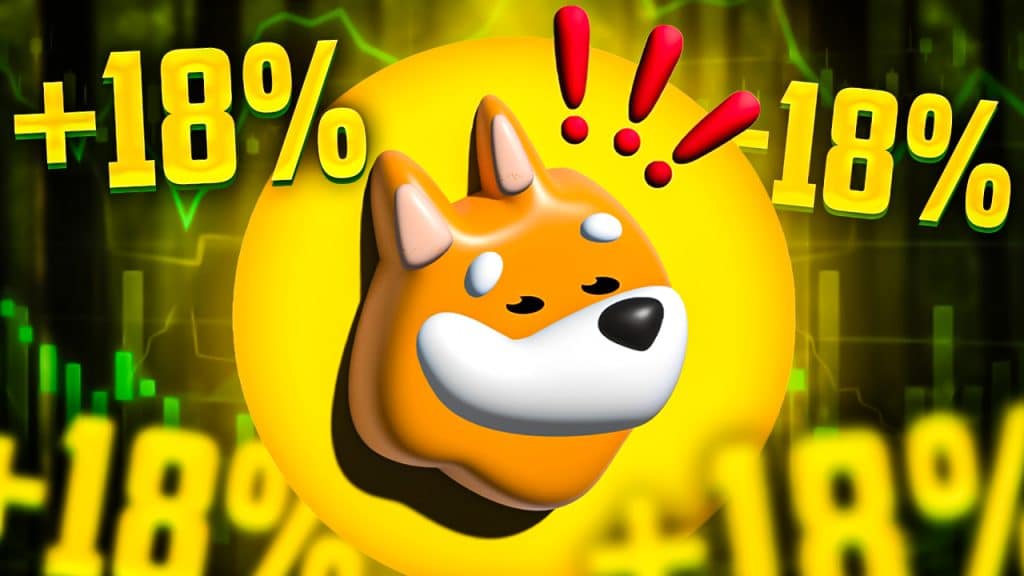 bonk coin