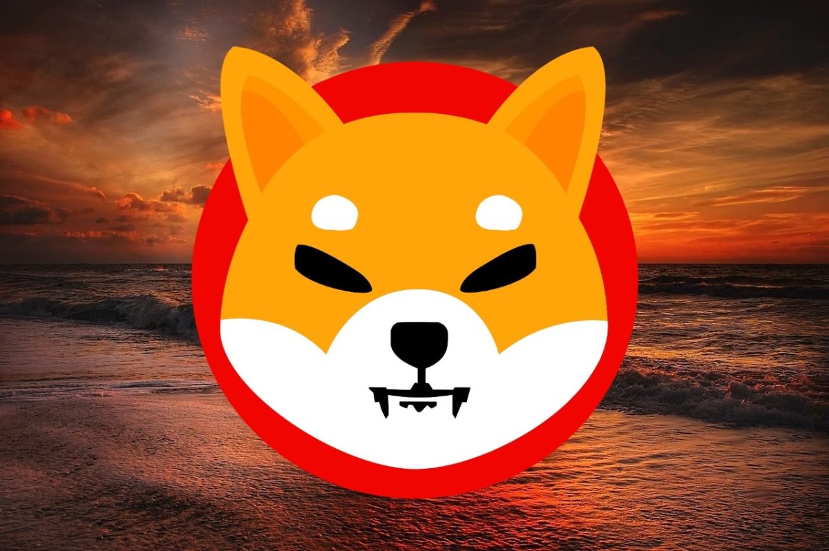 Top 3 nieuwe meme coins om in de gaten te houden na Shiba Inu burn