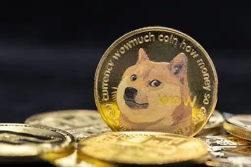 DOGE kan flink stijgen in 2024