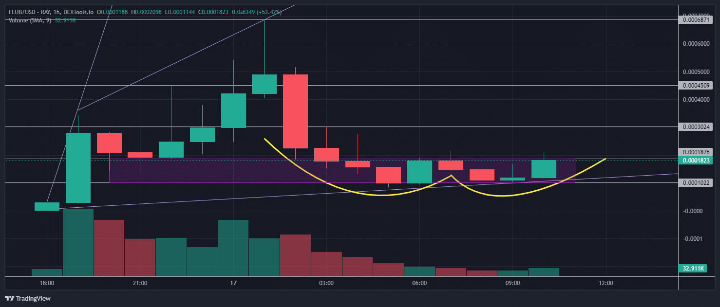 Bekende Crypto Expert: Deze Crypto Gaat Stijgen na FLUB Pump