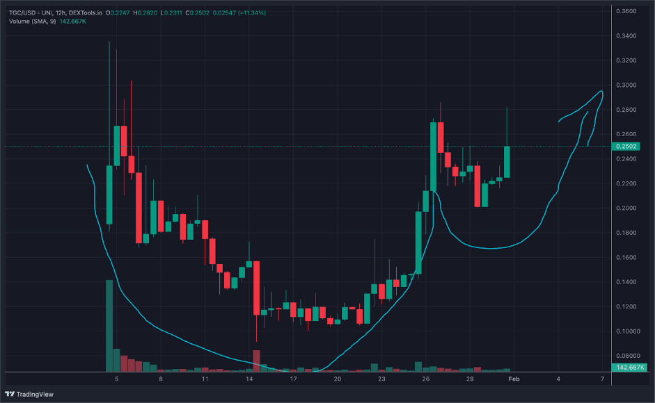 koers TGC laat cup-and-handle patroon zien