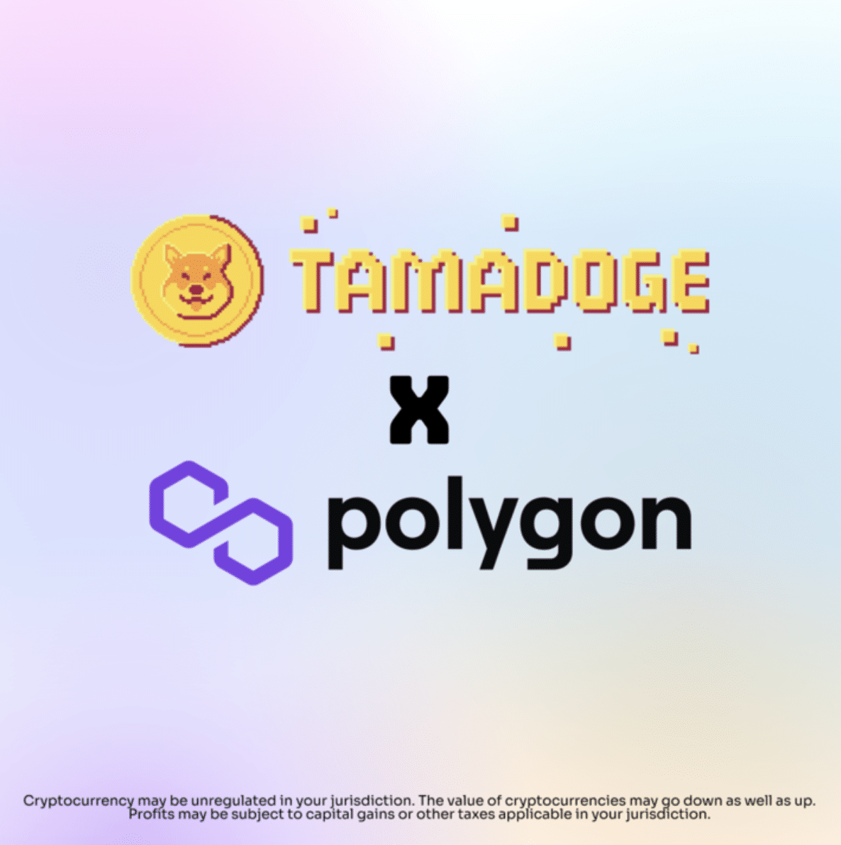 tama x polygon