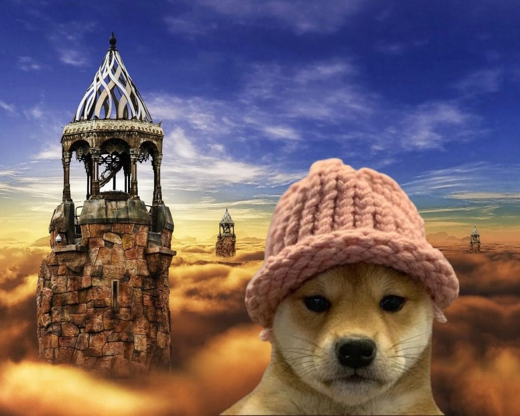 DogWifHat