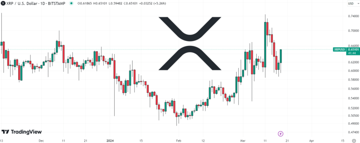 XRP investeerders kijken naar deze nieuwe ICO token
