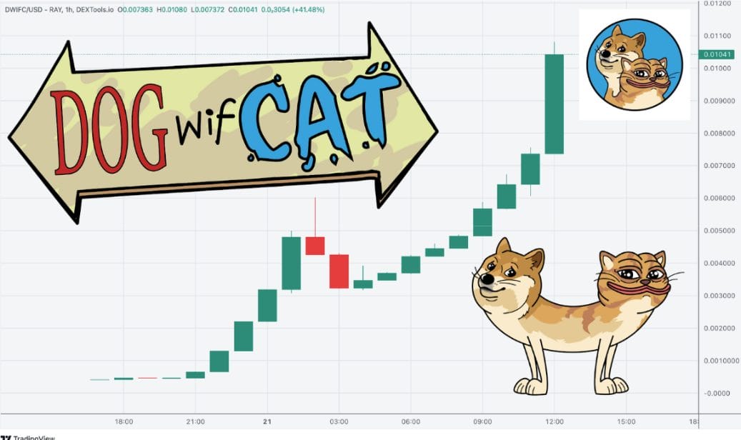 dowficat koers