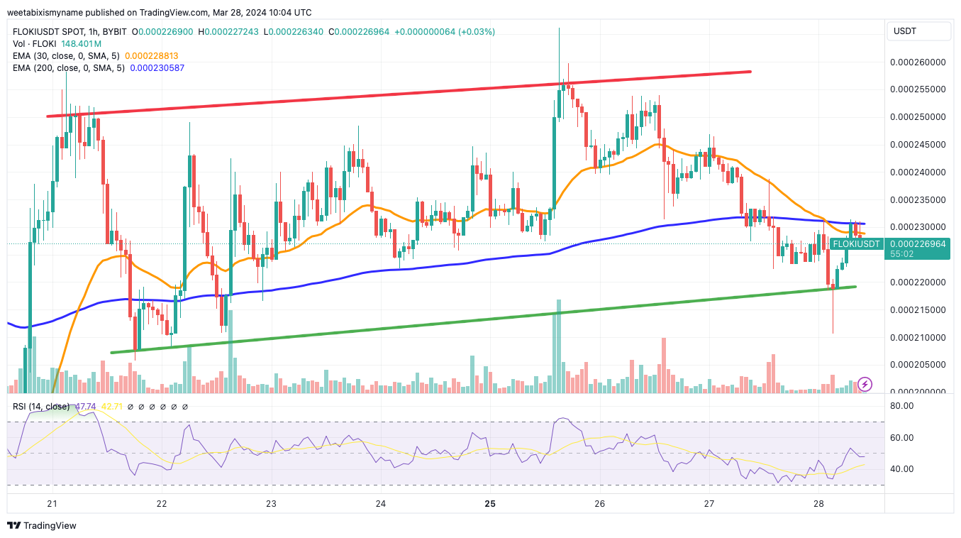 Grafiek Floki koers relative strength index