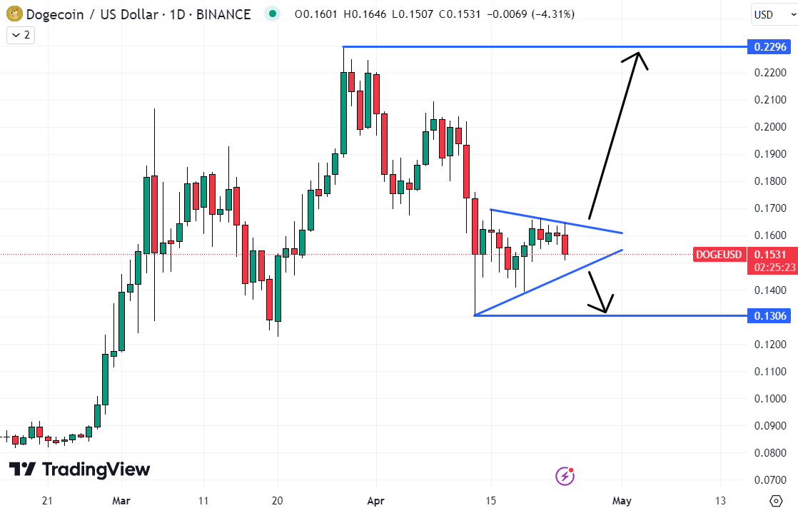 Dogecoin Whales Verleggen Aandacht Naar Groene Crypto ICO - Is Dit De Nieuwe Crypto Hype?