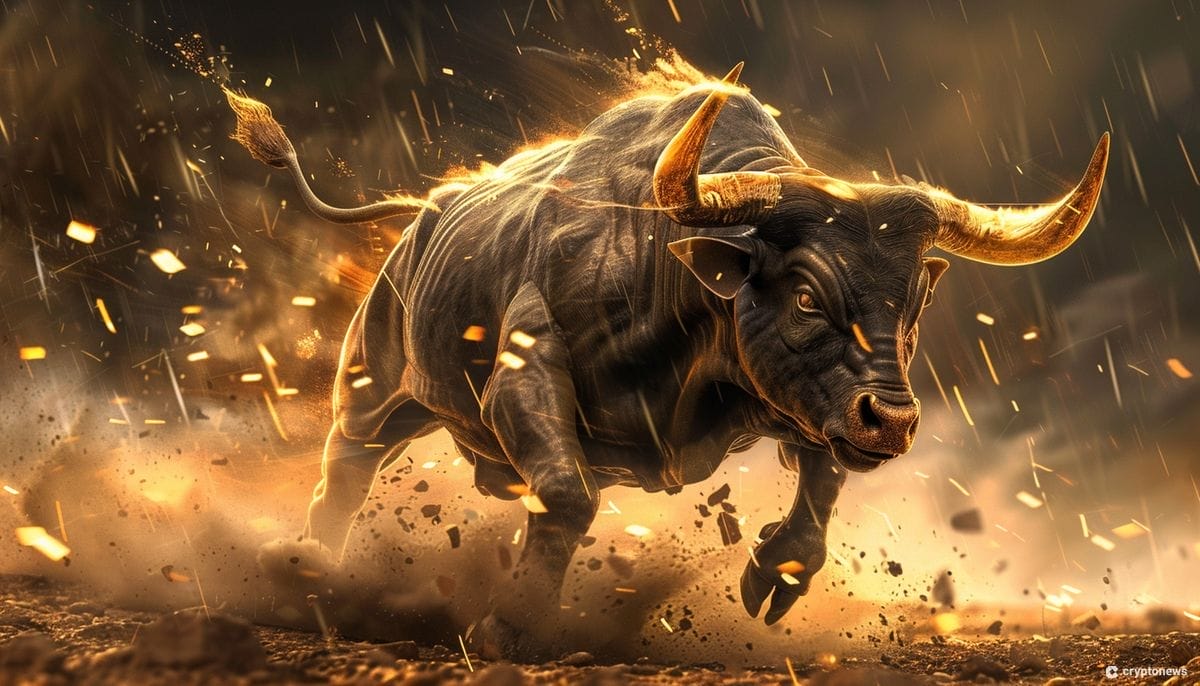 crypto bitcoin bull run