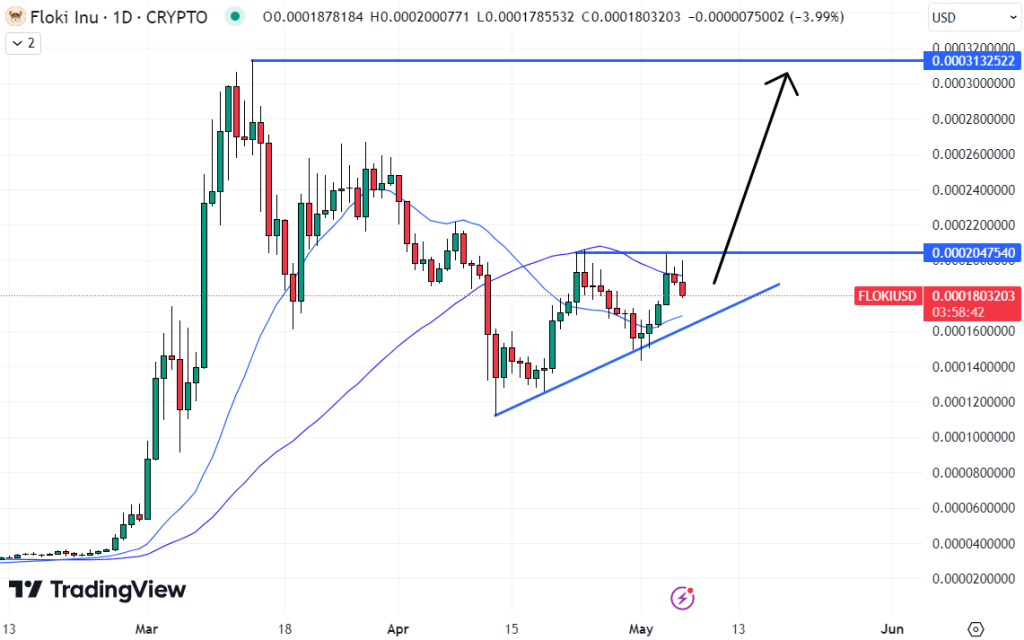 De prijs van Floki kan zo snel mogelijk recente toppen aanvallen als deze boven dit weerstandsgebied uit kan breken. Bron: TradingView