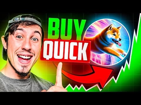Dogeverse Haalt Meer Dan $15.000.000 Op – Volgende 10X Meme Coin?!