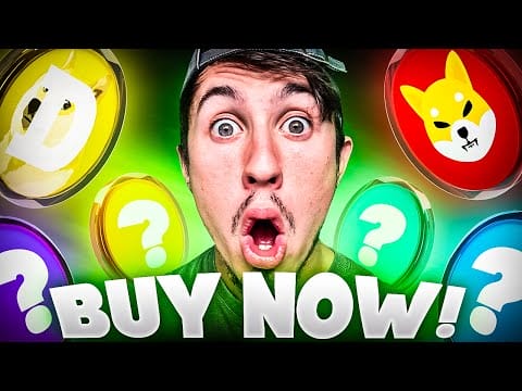 DE 5 BESTE MEME COINS OM NU TE KOPEN?! (enorm POTENTIEEL!)
