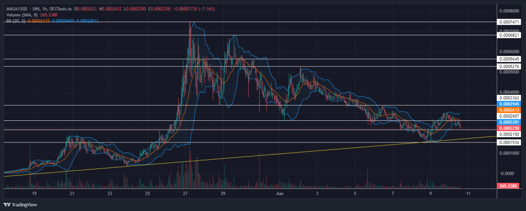 Maga token grafiek 