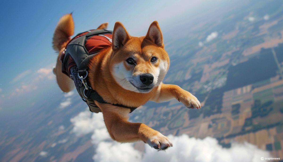 Crypto Deskundige Kopen Nieuwe Crypto Coin Voor De Exchange Lancering - Is Dit De Volgende Shiba Inu?