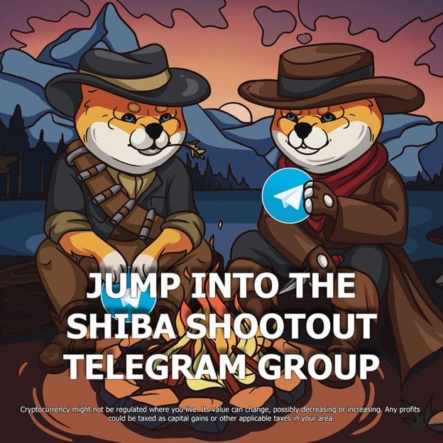 shiba shootout shiba inu 