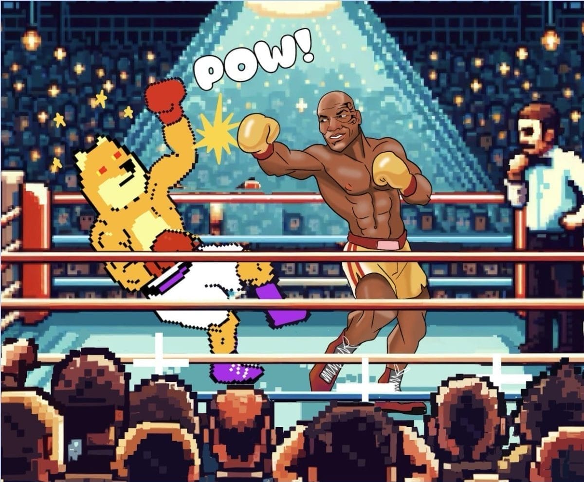 Fight Night presale