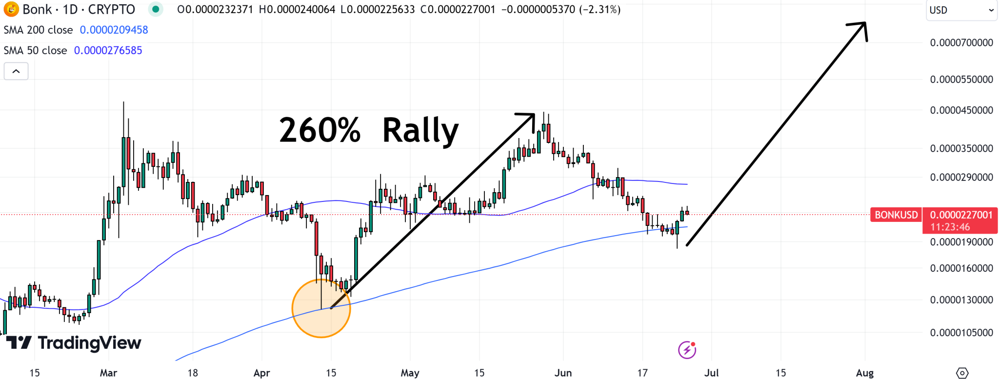 WienerAI - meme coin met hoogste winst