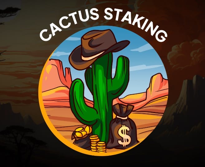 Shiba shootout cactus staking