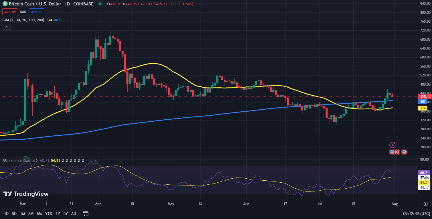 Bitcoin Cash koers grafiek