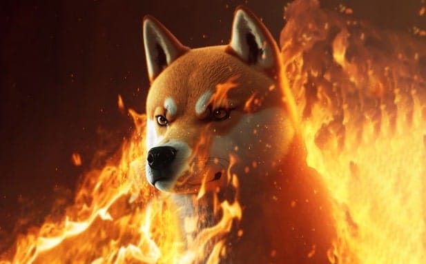 shib