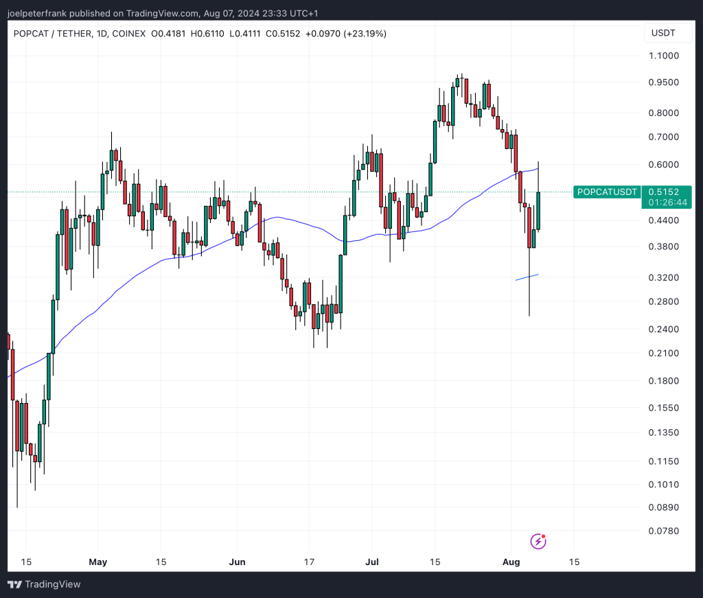 Top Crypto XRP, POPCAT, WIF 