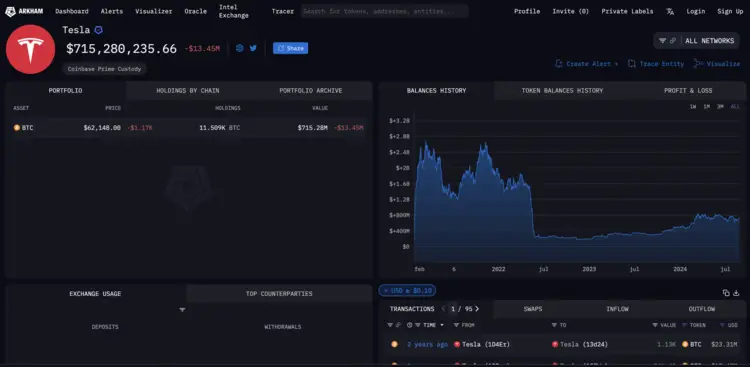 Elon Musk Tesla stock