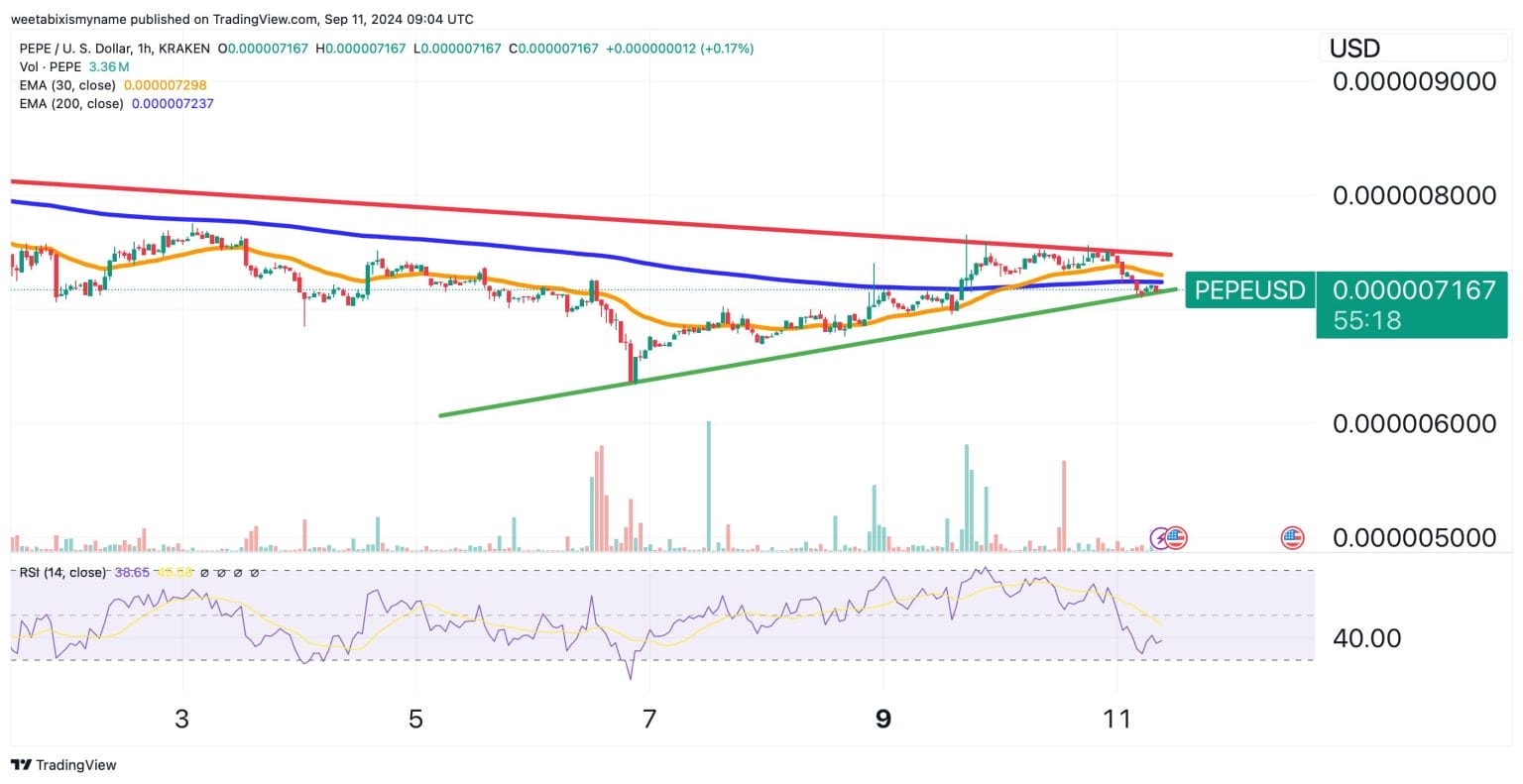 Pepe koers verwachting - Bron: TradingView september 2024