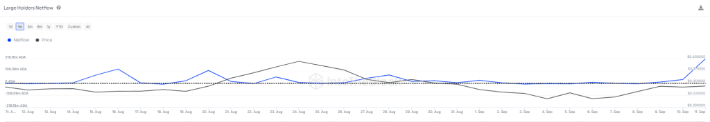 Cardano crypto whale activiteit