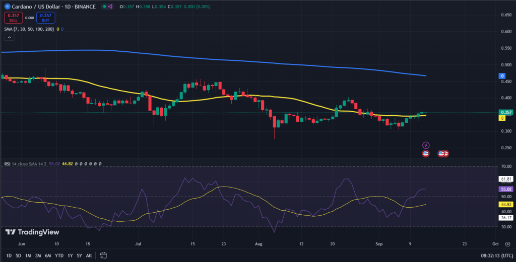 Cardano koers grafiek