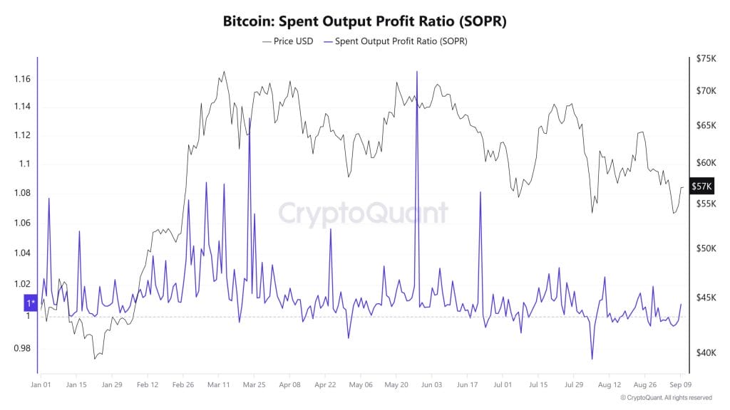 Spent Output Profit Ratio (SOPR)