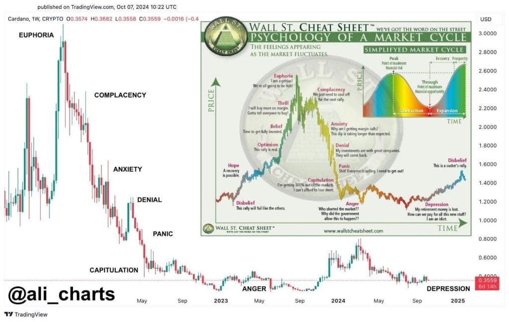 Cardano analyse