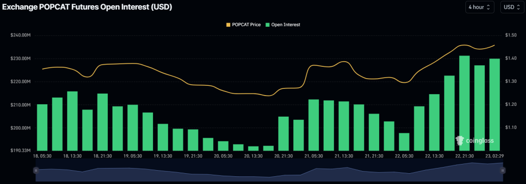 Open interest Popcat