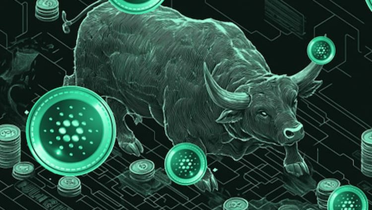 Cardano koers hype explodeert - crypto expert: beste aankoop van dit jaar