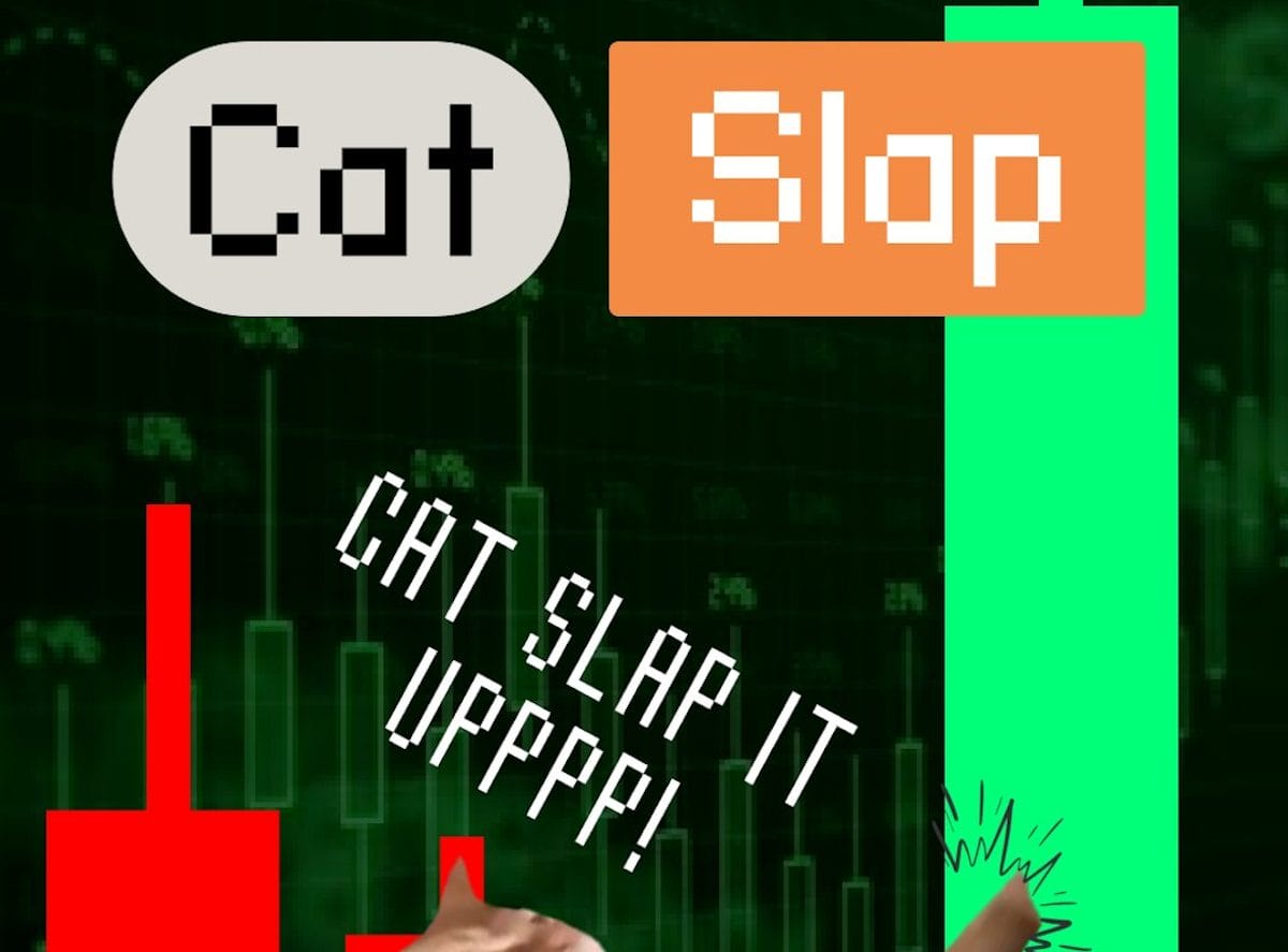 Chill Guy koers pumpt – is nieuwe crypto SLAP de volgende met 51% stijgingspotentie?