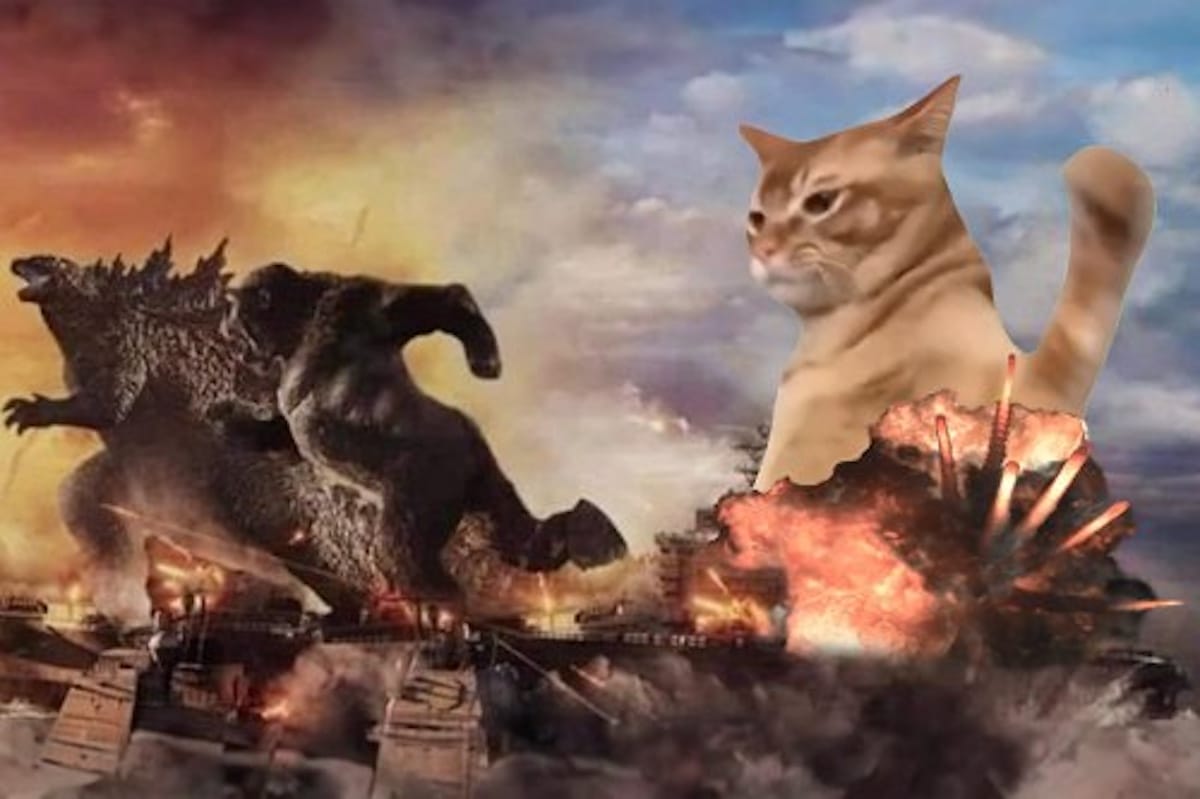 Popcat concurrent Catslap explodeert na token burn – beste opkomende crypto meme voor december?