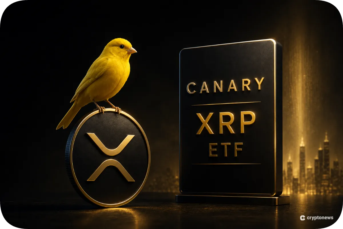 Canary XRP ETF kwartaal resultaten