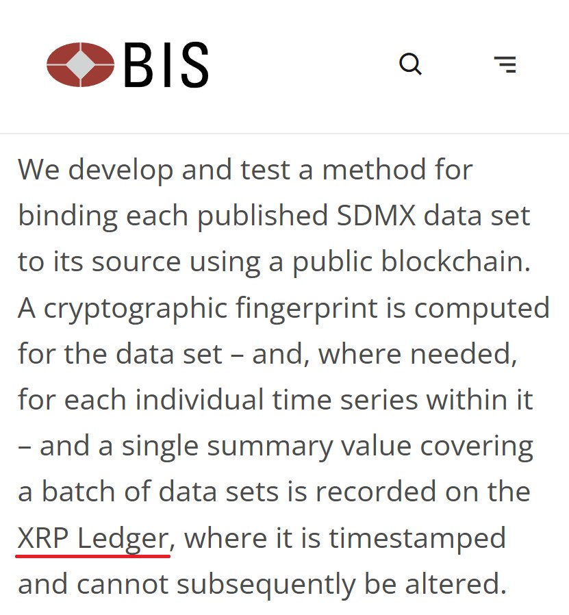 XRP BIS rapportage