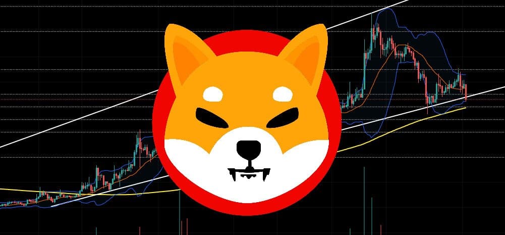 Shiba Inu