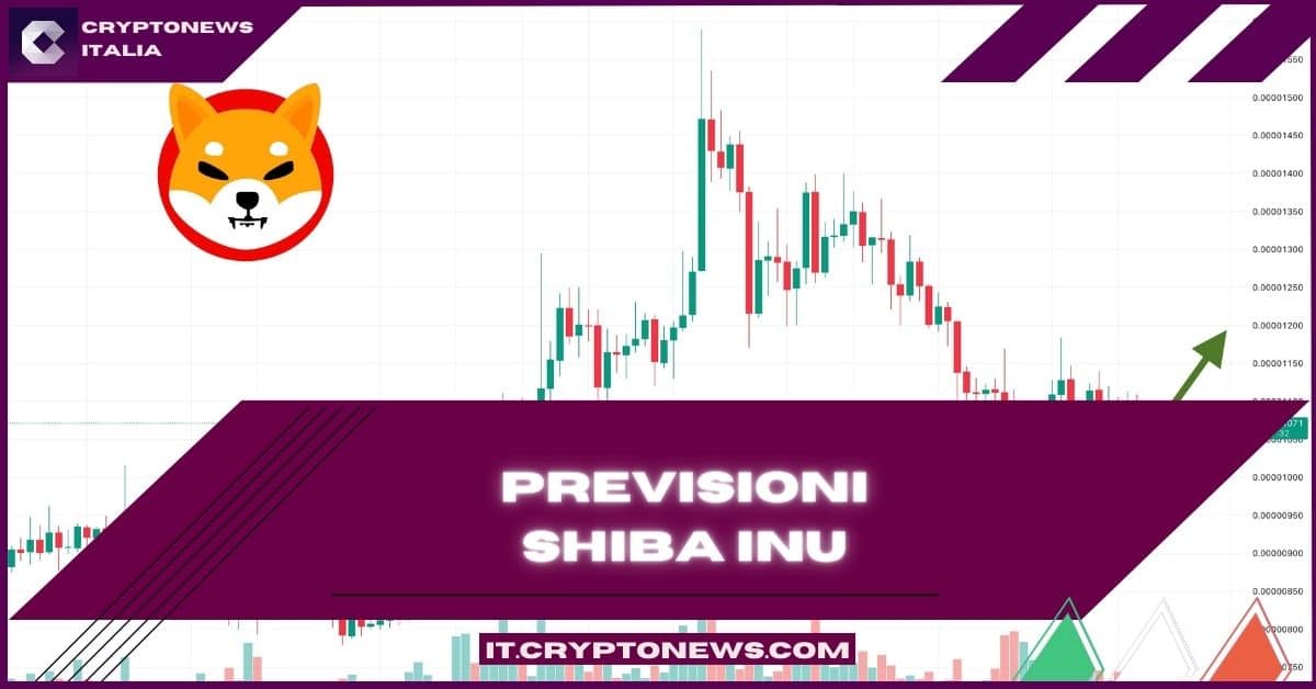 SHIBA 