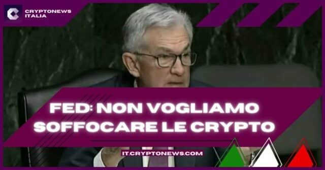 Fed