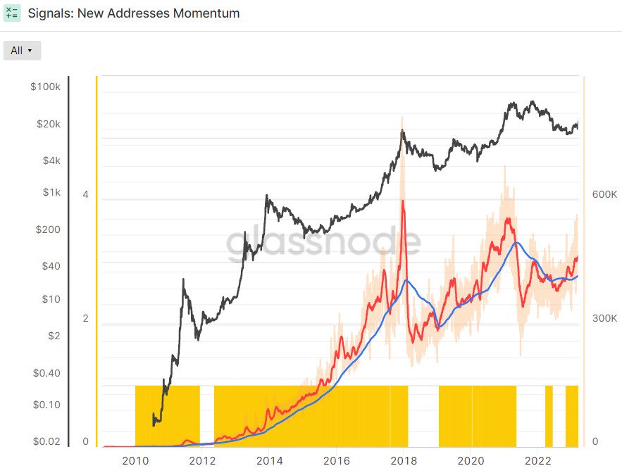 Grafico BTC Address - Fonte Glassnode