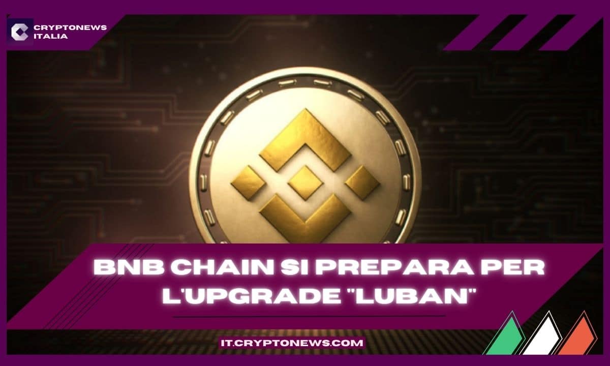 BNB
